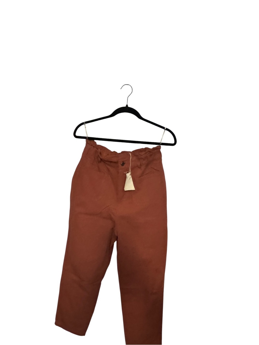 Easel Paperbag Waist Ankle Pants in Rust